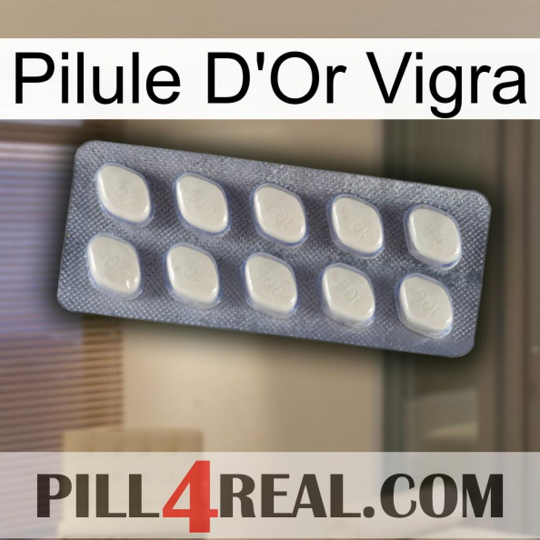 Vigra Gold Pill 08